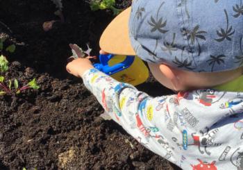 Kita-Kinder bekommen Hochbeet der Edeka-Stiftung