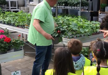 Integrative Kita: Kleine Forscher besuchen Gärtnerei Hanns in Kusel